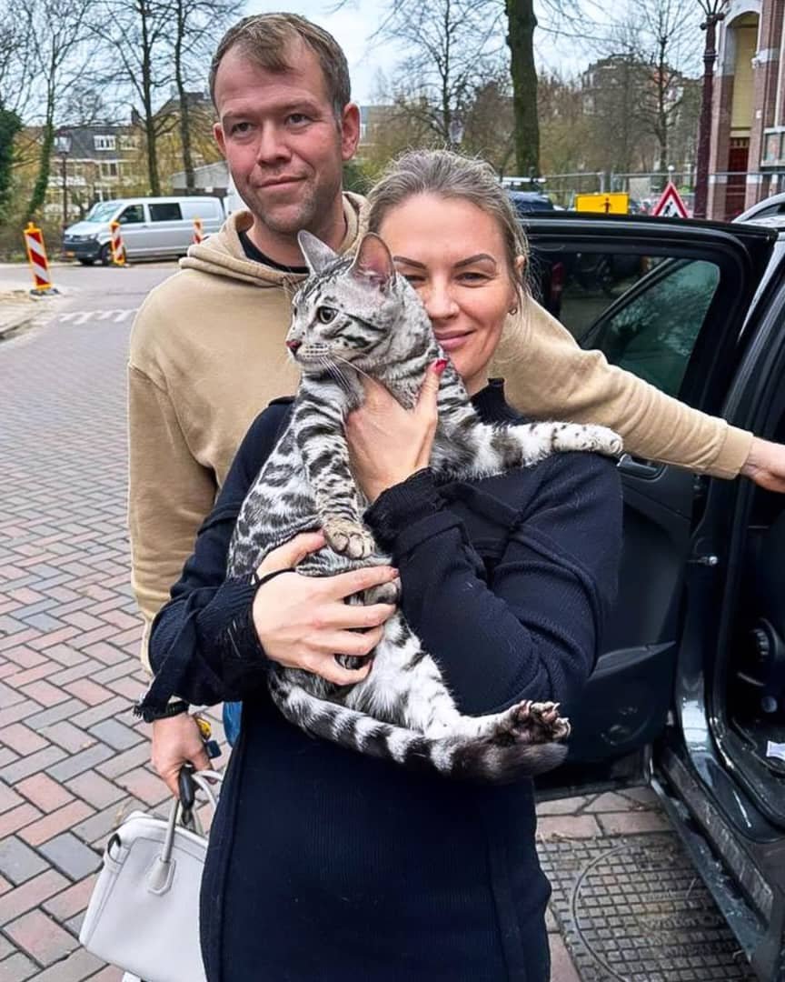 Happy Family with Bengal Kitten - Perfect for families