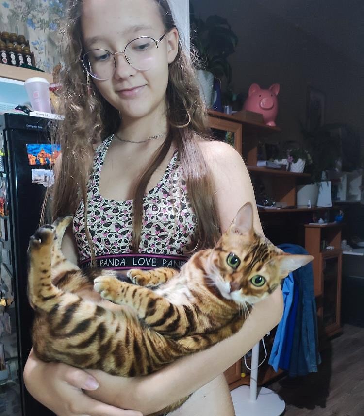 Happy Bengal Kitten Owner - Satisfied customers