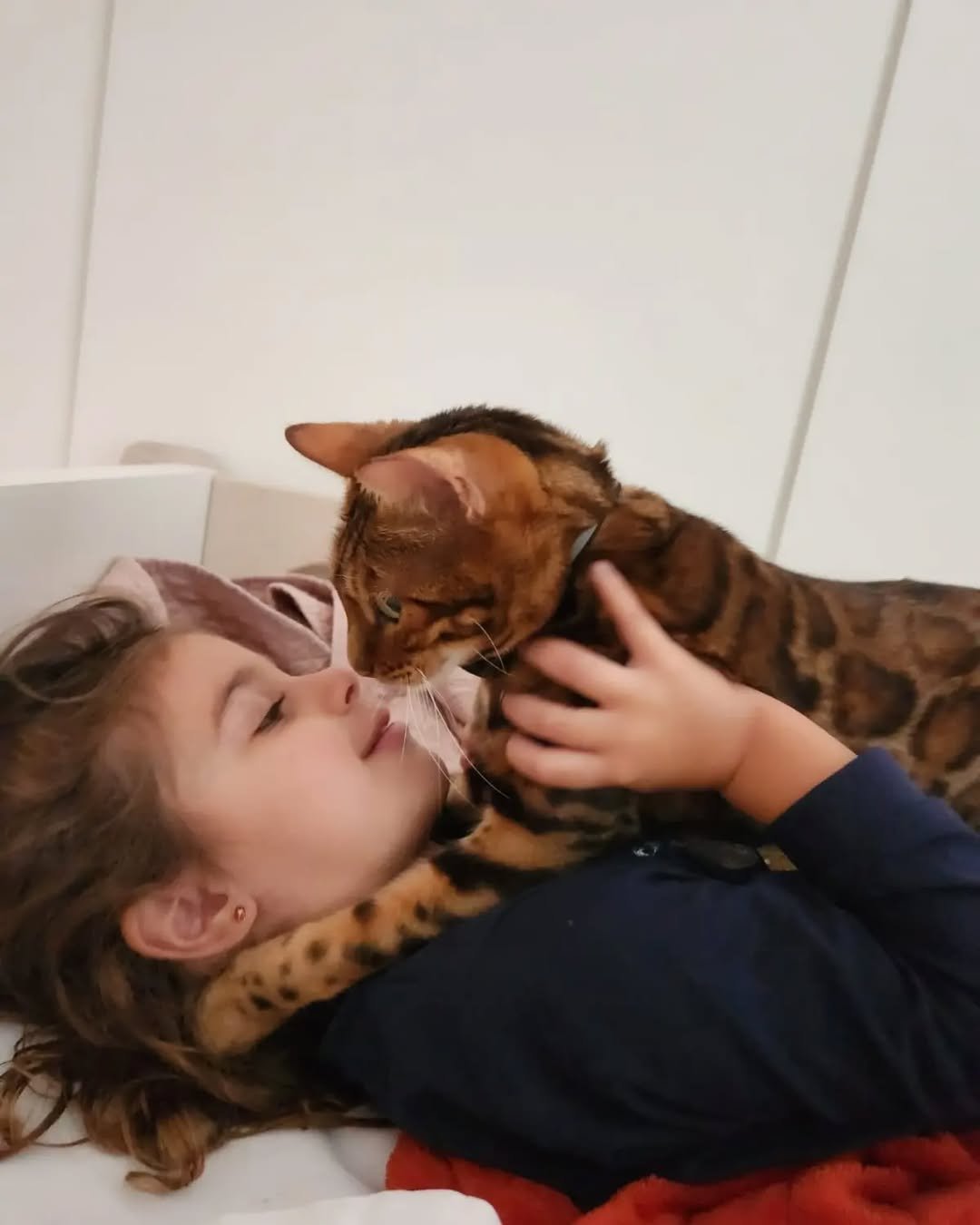 Bengal Kitten with Children - Great with kids and families